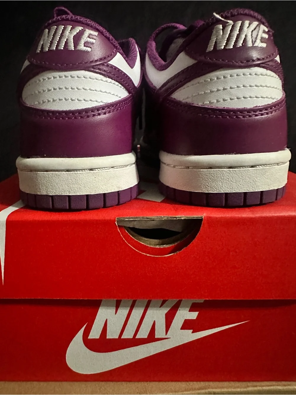 Nike Dunk Low Purple and White Leather Sneakers